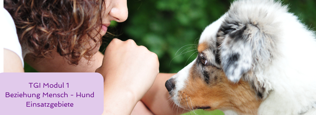 Tiergestützte Intervention - Modul 1 Beziehung Mensch - Hund und Einsatzgebiete